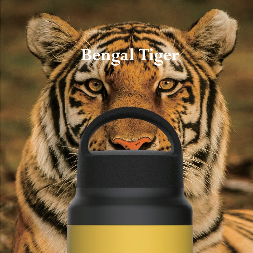 Tiger Stainless Steel Sports Thermal Bottle MCZ-A