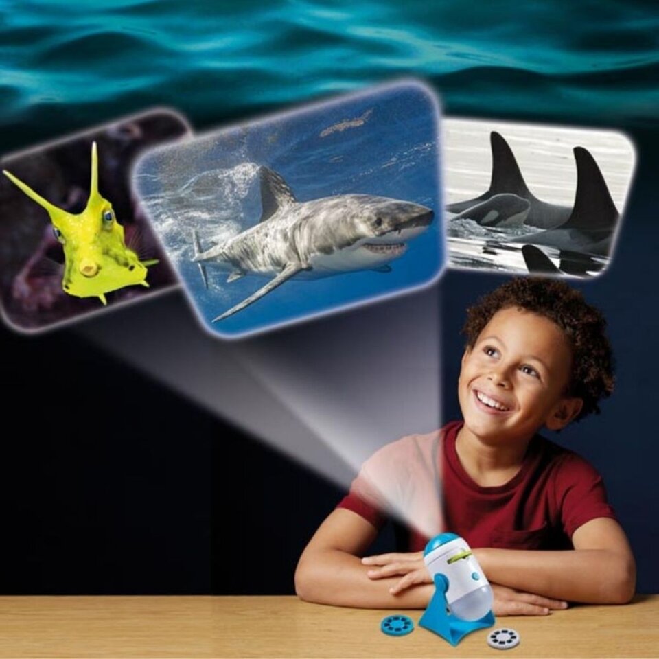 under the sea light projector