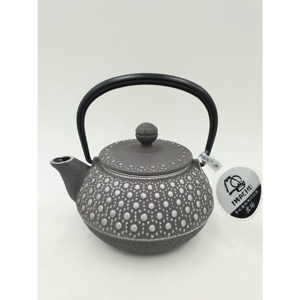 iwachu cast iron tea kettle