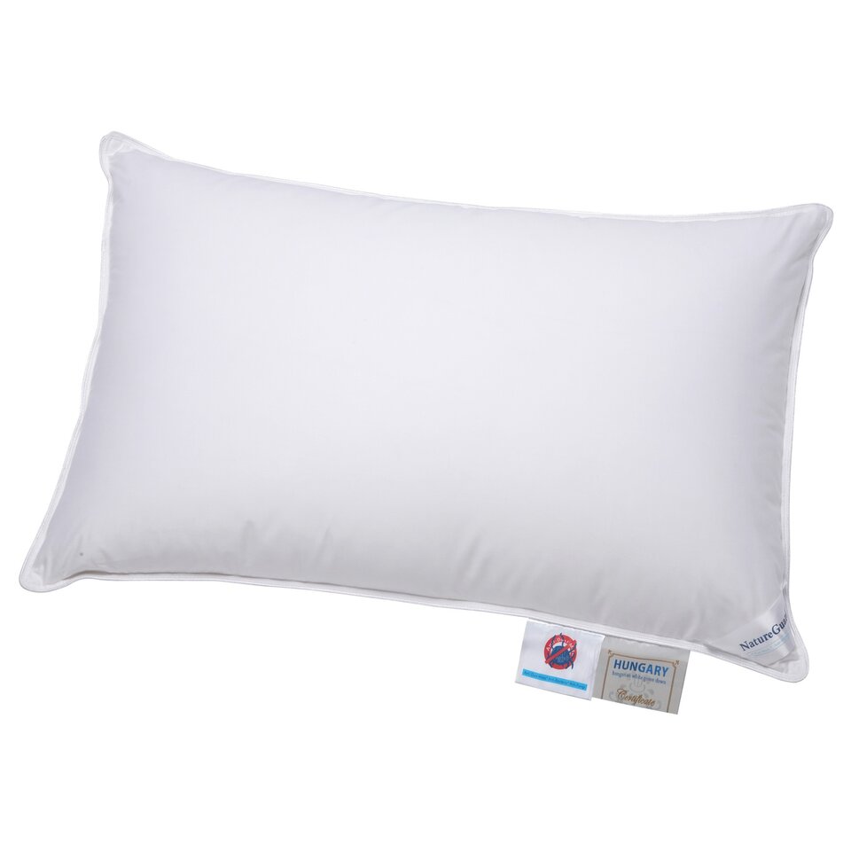 top goose down pillows