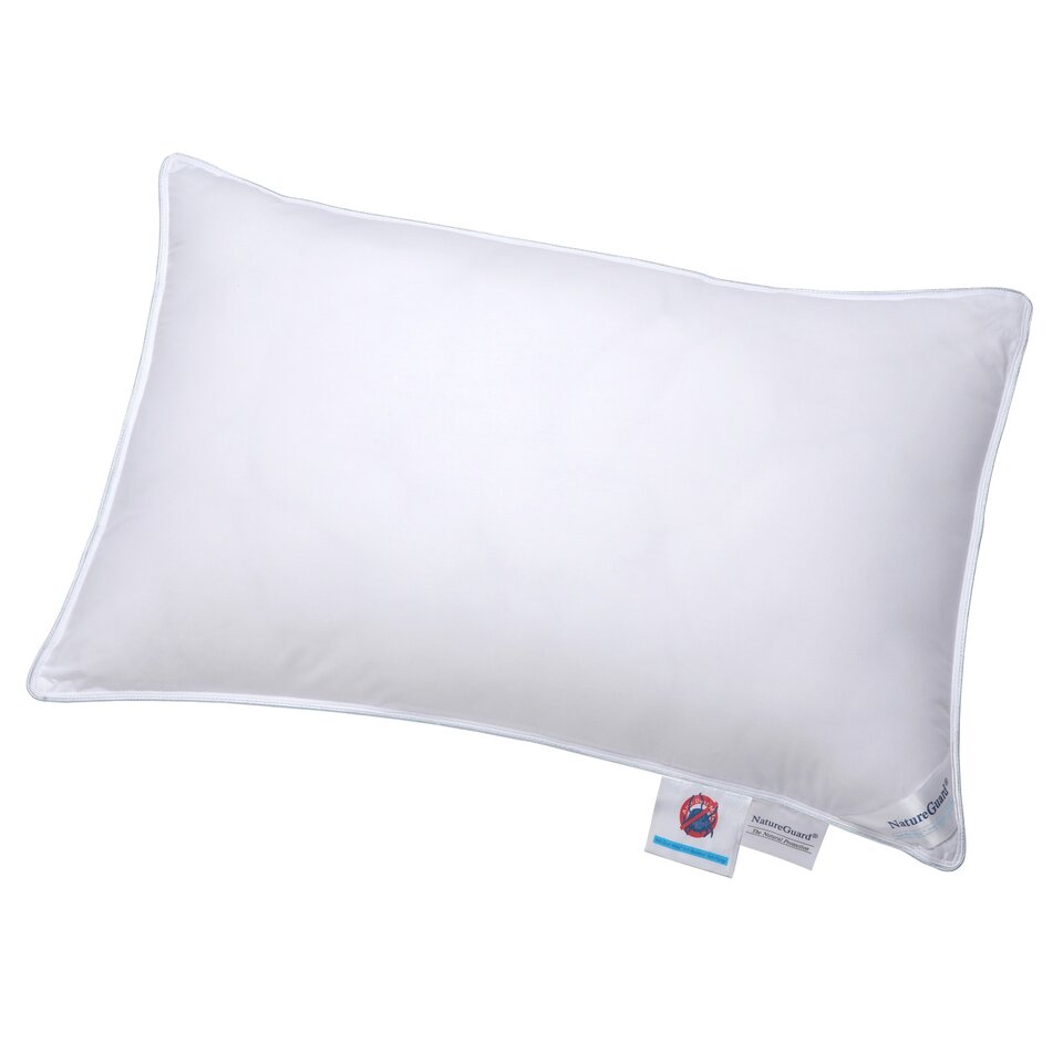 Extra firm shop goose down pillow