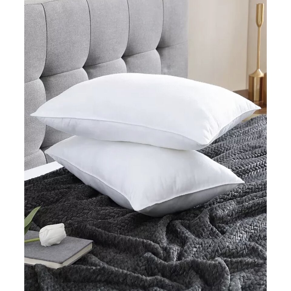 30x50 cushion insert best sale