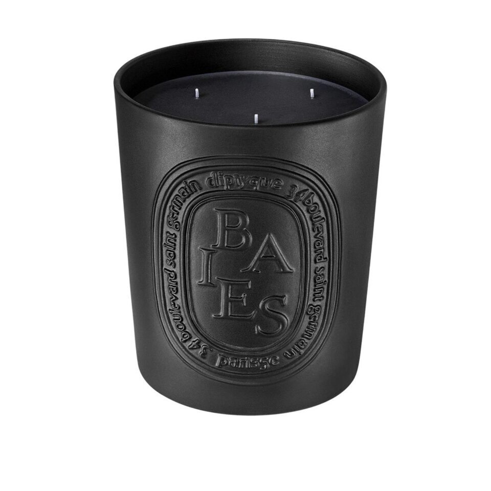 Diptyque パフュームキャンドル 600g Diptyque Baies Scented Candle, 600g | TANGS Singapore