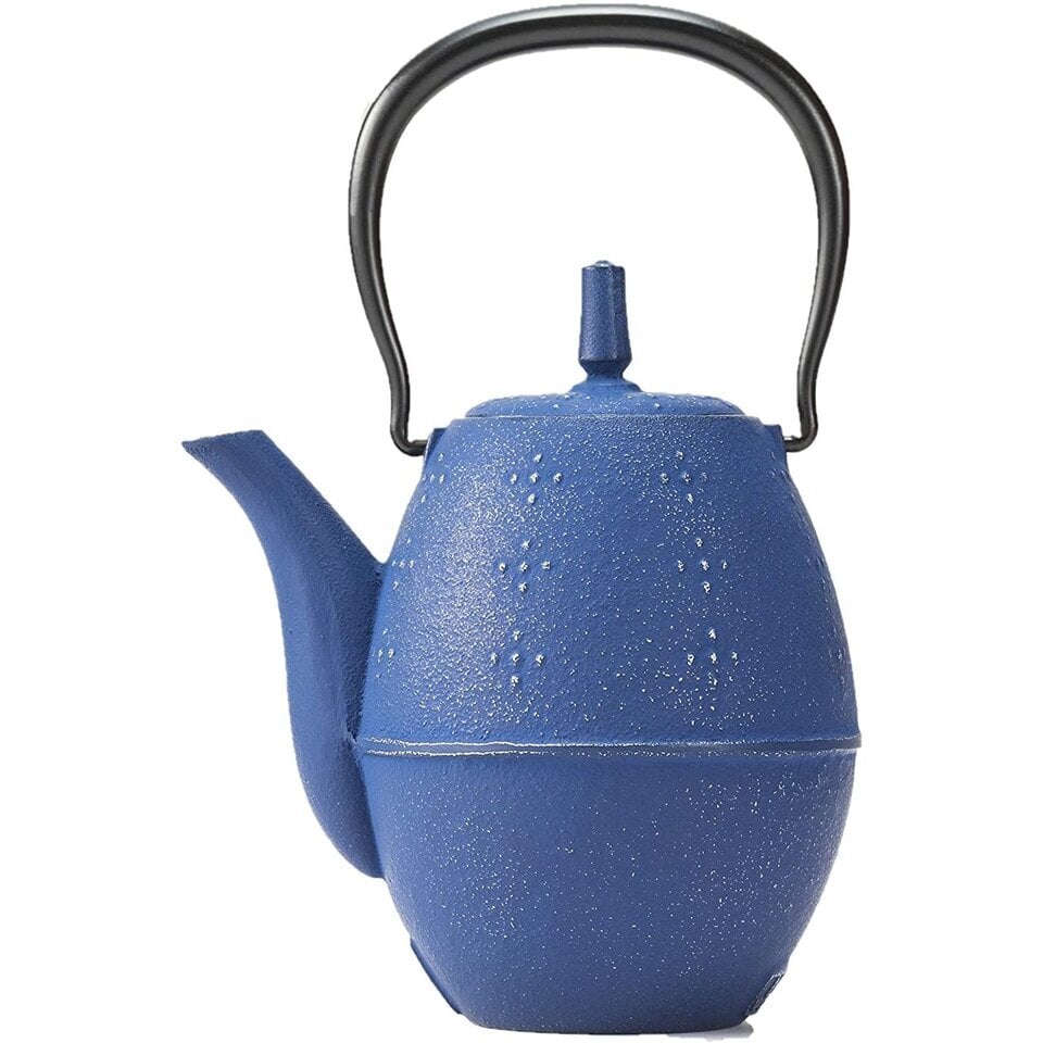 iwachu teapot