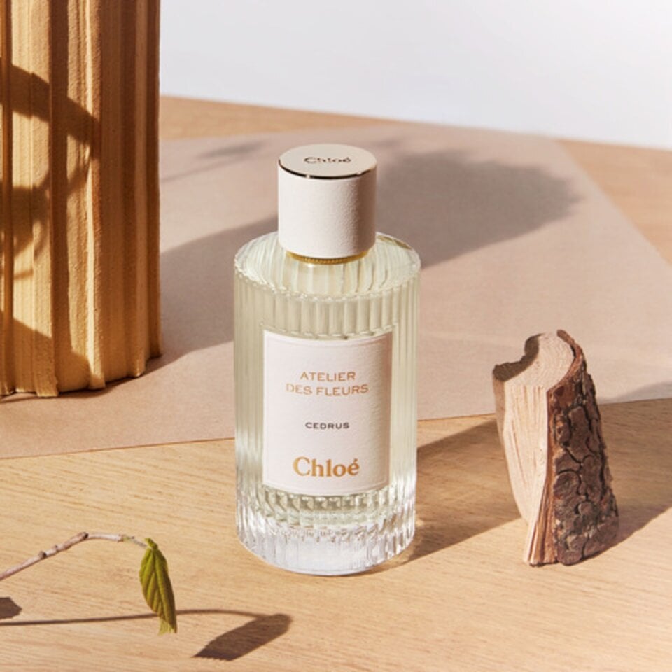 Chloé Atelier des Fleurs Cedrus Eau de Parfum 50ml | TANGS Singapore