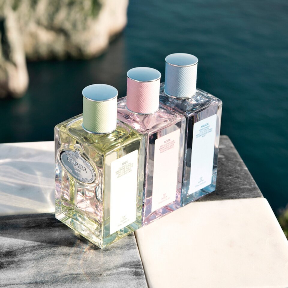 Infusion Iris EDP 100ml | TANGS Singapore