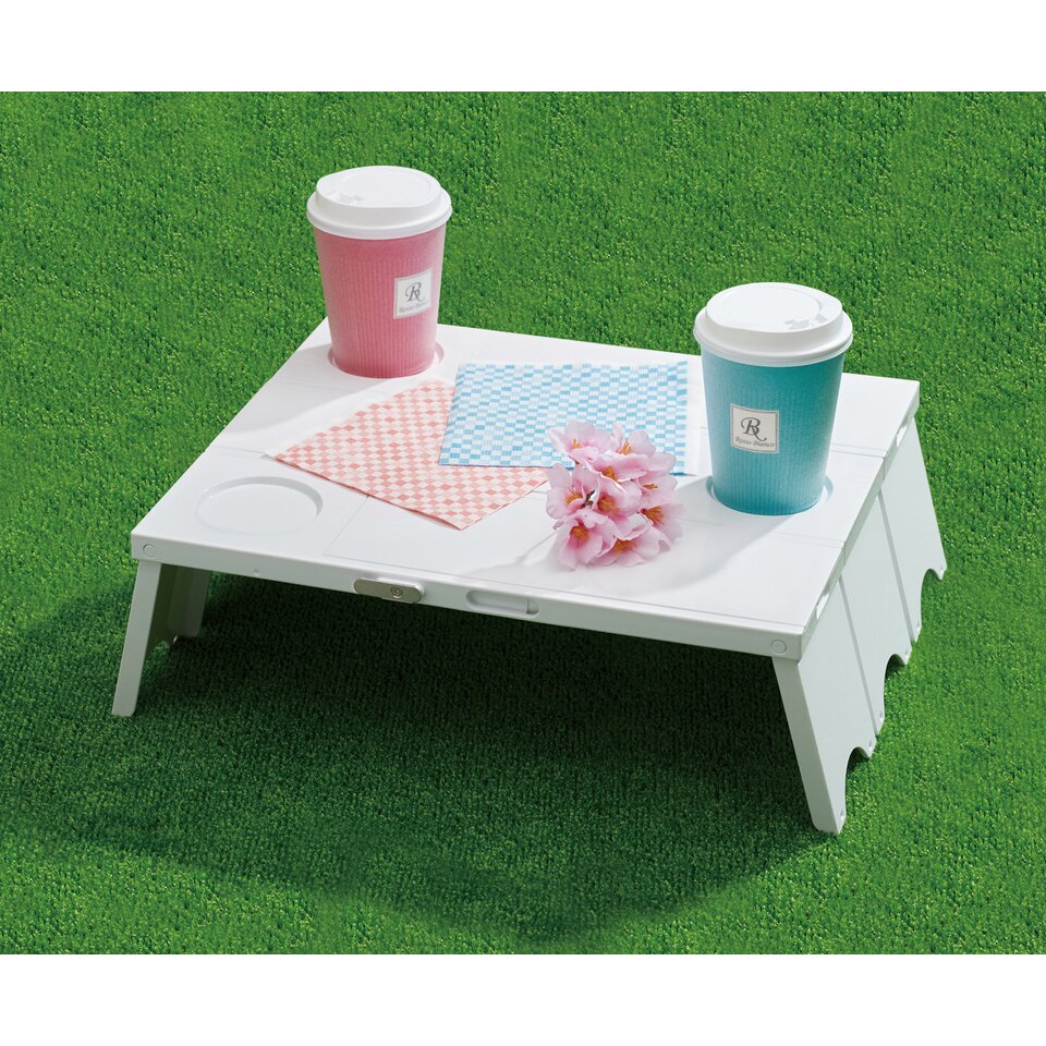 folding picnic tray