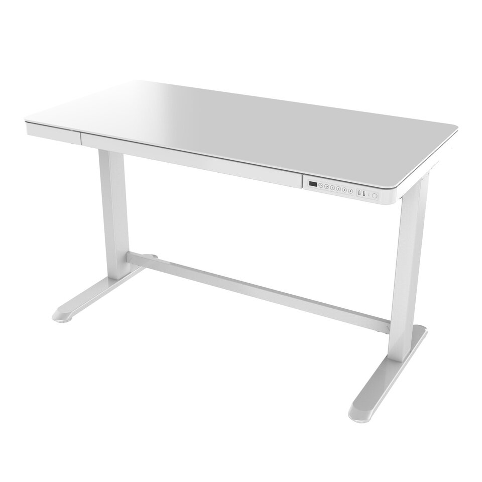 white automatic standing desk