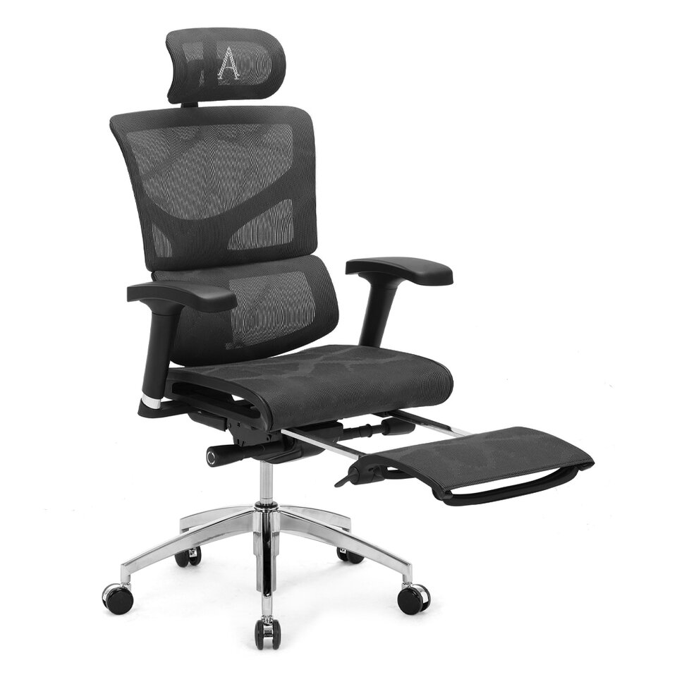 SAIL™ Basic Ergonomic Chair with Legrest