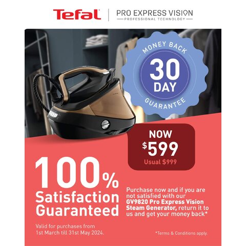tefal professional steam iron