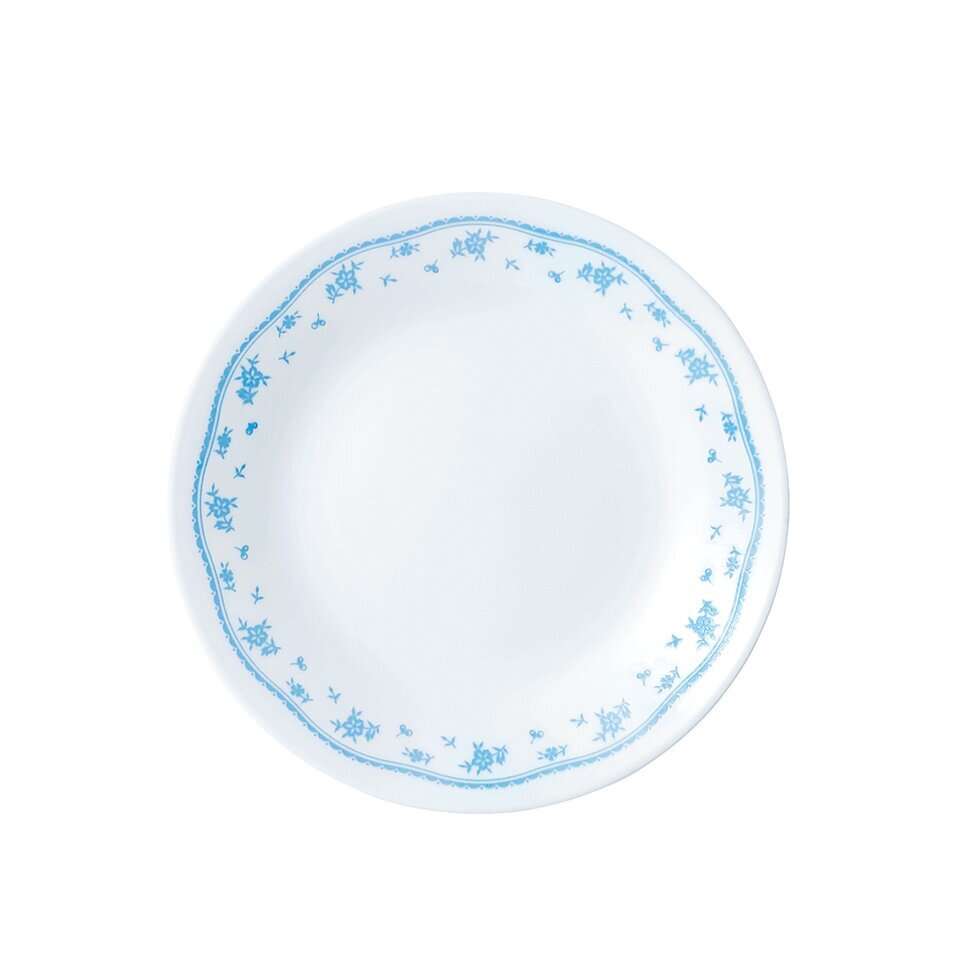 light blue dinner plate