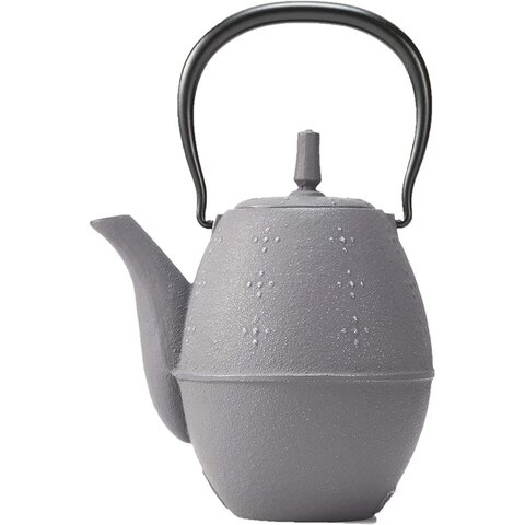 Gray and Gold Goldfish Japanese Iwachu Iron Teapot