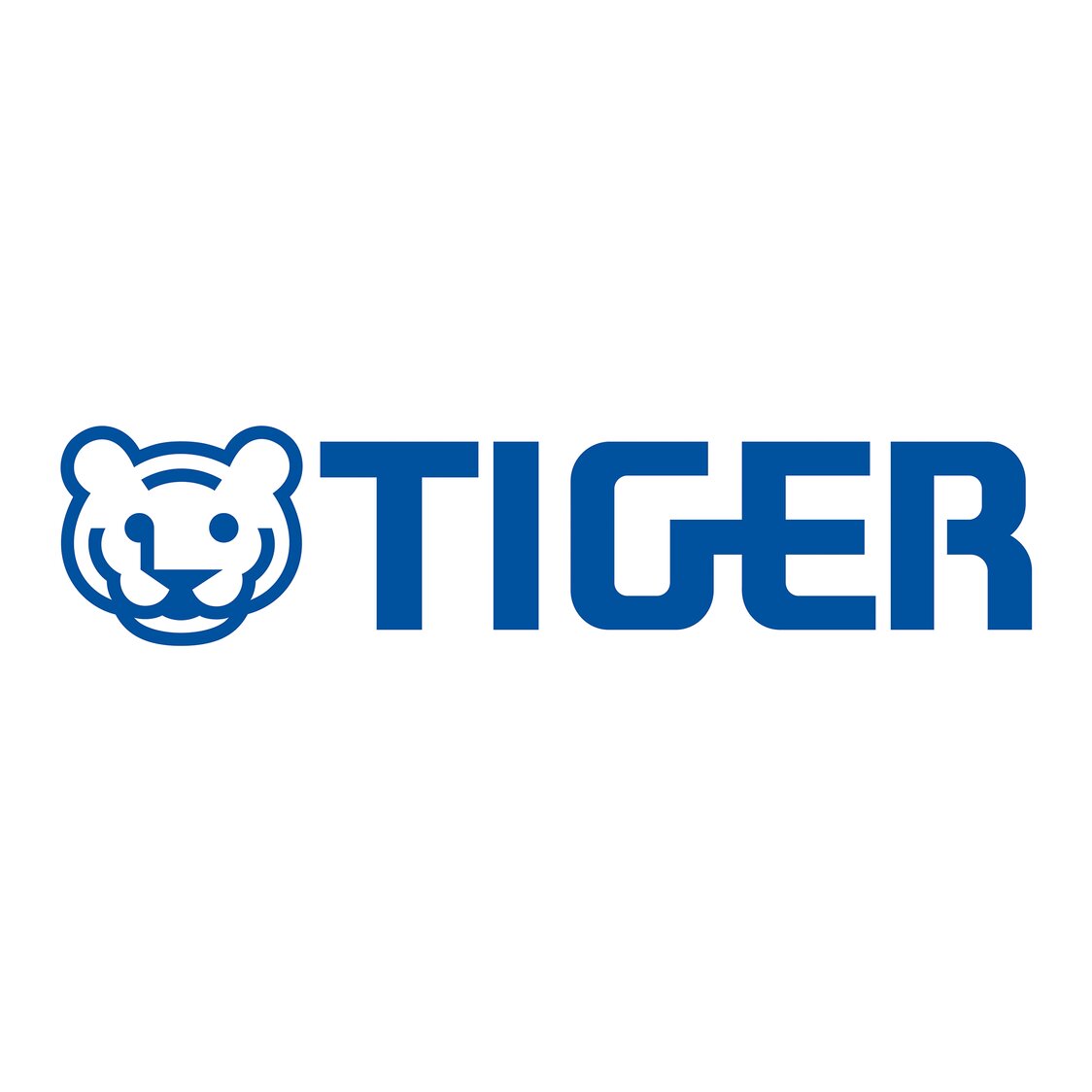 What is the function of - TIGER Corporation Singapore